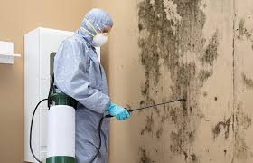 Professional Mold Prevention & Removal  in Marion, AL